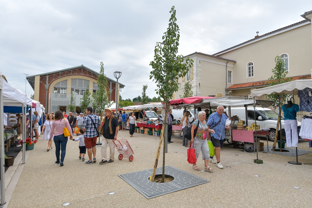 Marché traditionnel et fermier en musique, Saint-Sever - photo 4