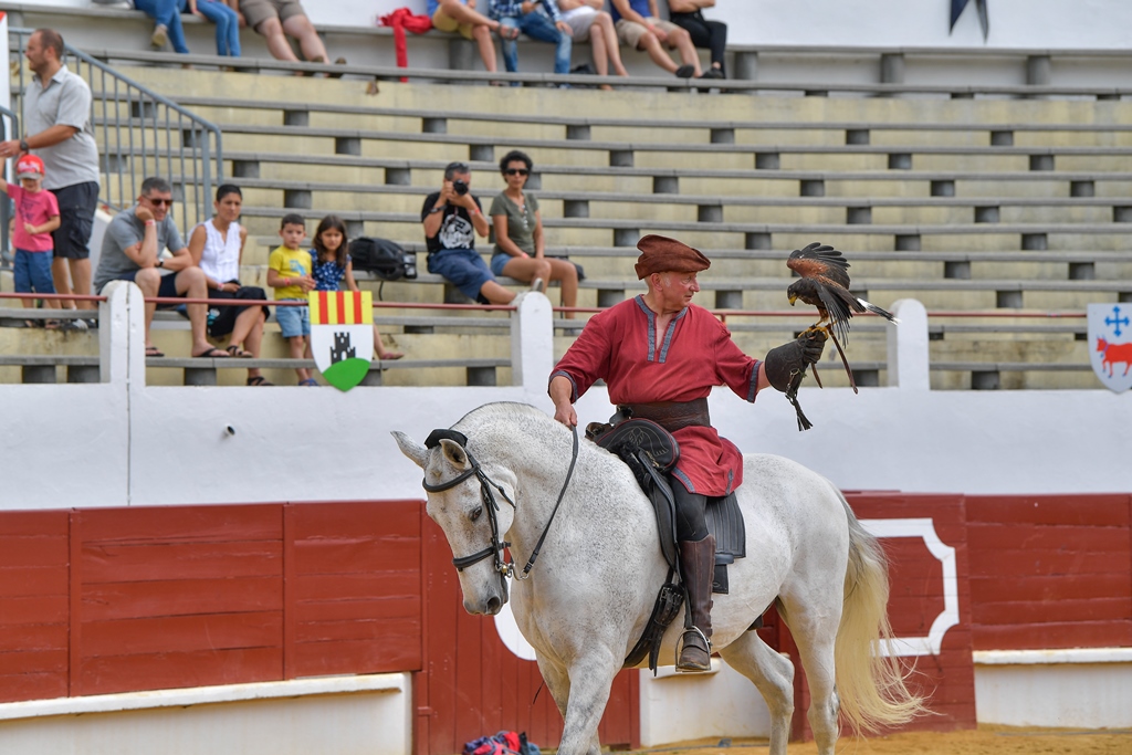 Arènes Henri Capdeville, Saint-Sever - photo 6