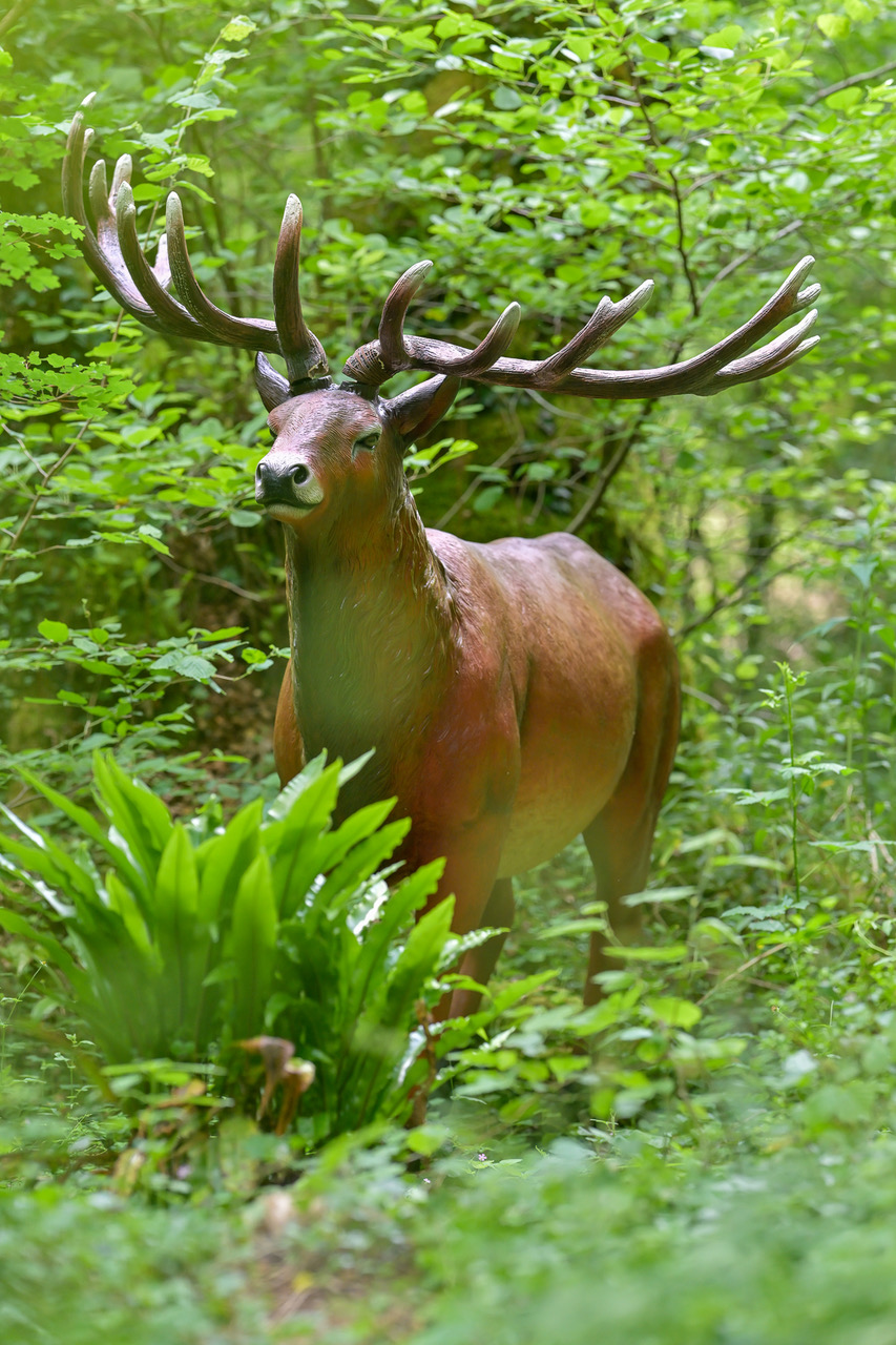 Les Grottes du Roc de Cazelle, Les Eyzies - photo 10