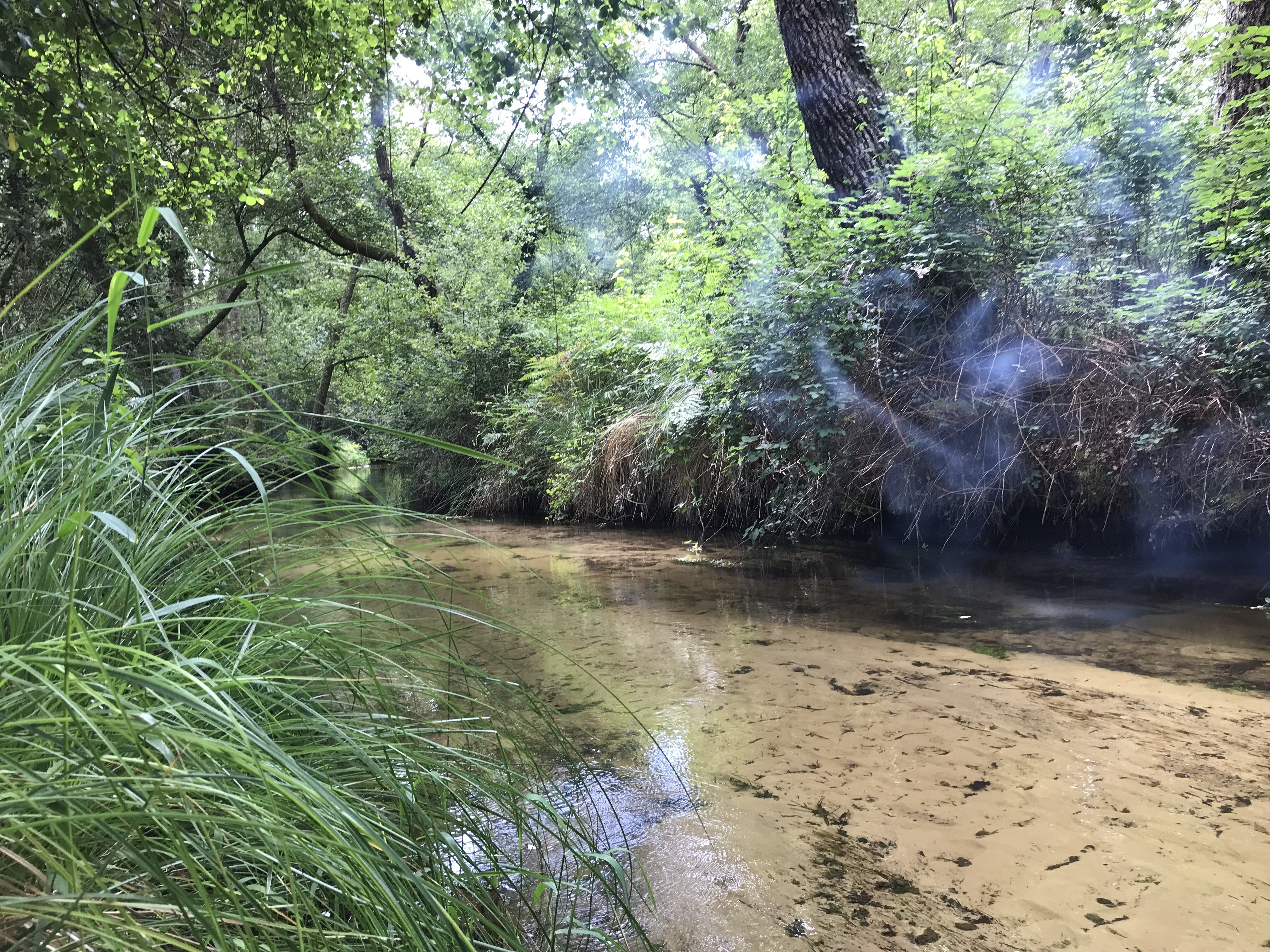 Inda Martine, Saint-Michel-Escalus - photo 4