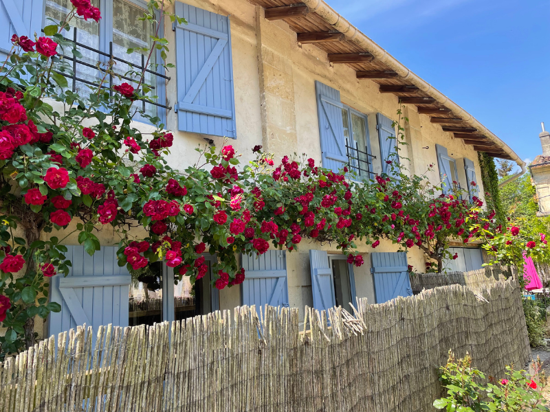 Les chambres d'hôtes de La Vigne d'Or, Teuillac - photo 4