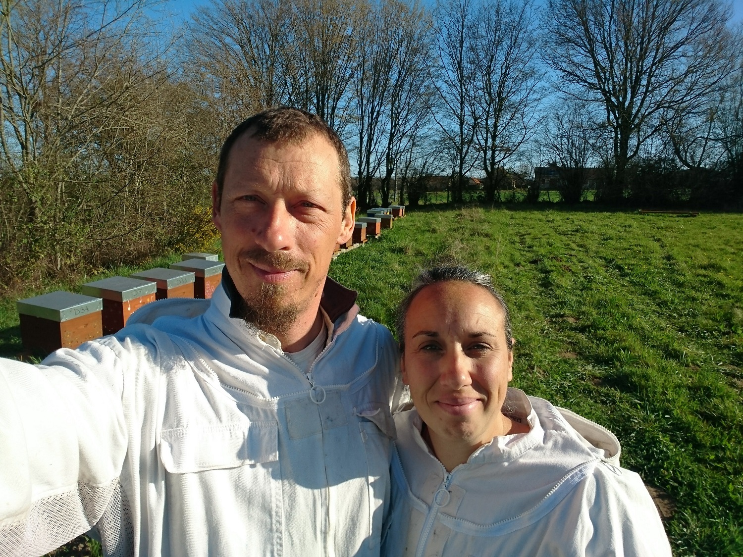 La ruche, les abeilles et l'apiculture - Château en fête - photo 2