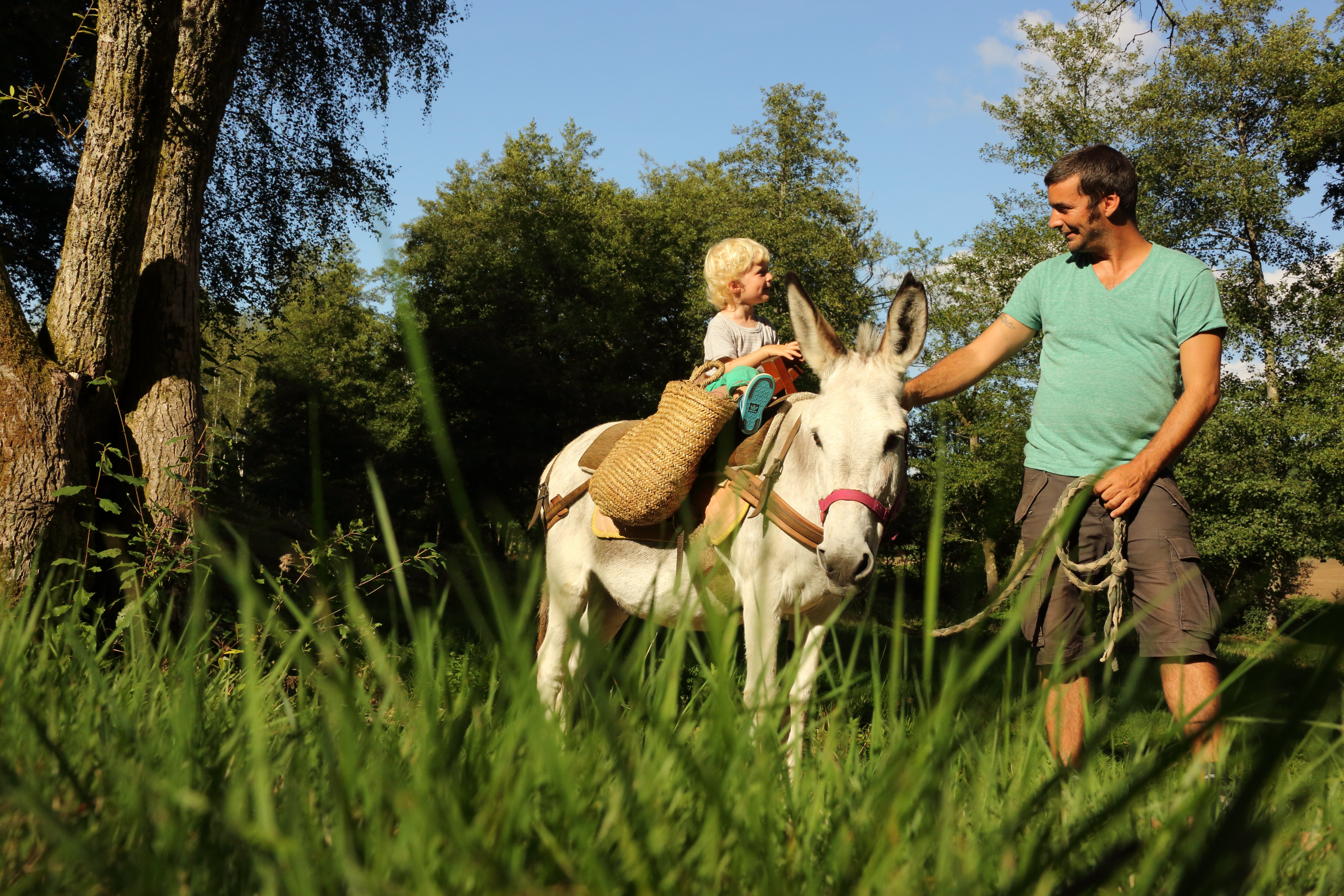 J'apprends à m'occuper de mon âne
