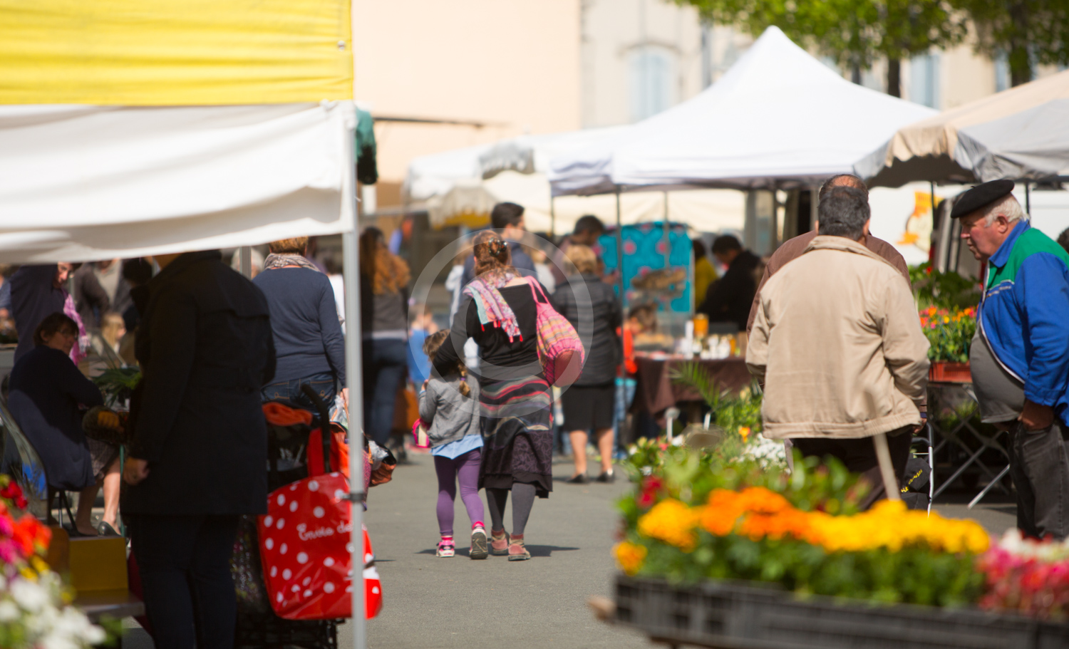Marché traditionnel - photo 4