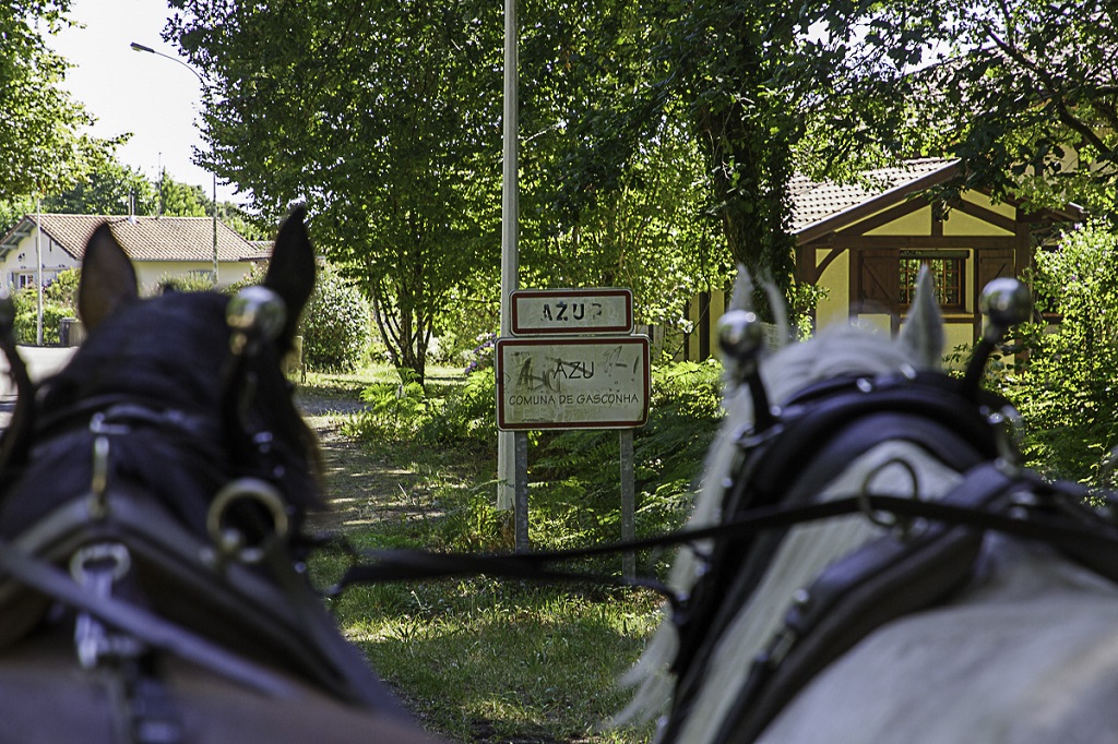 Ma Calèche - photo 3