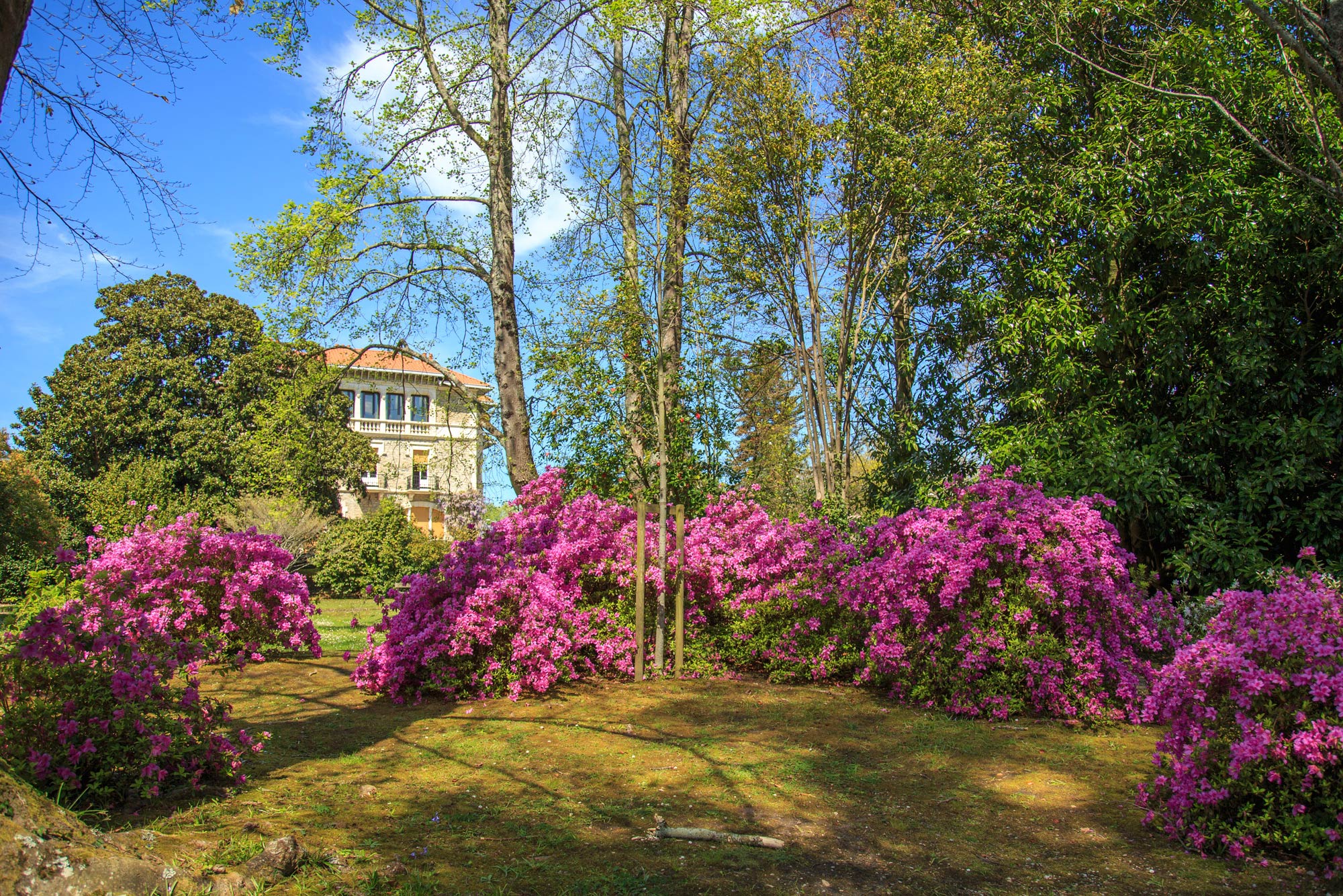 Jardin de la Villa Beatrix Enea, Anglet - photo 2