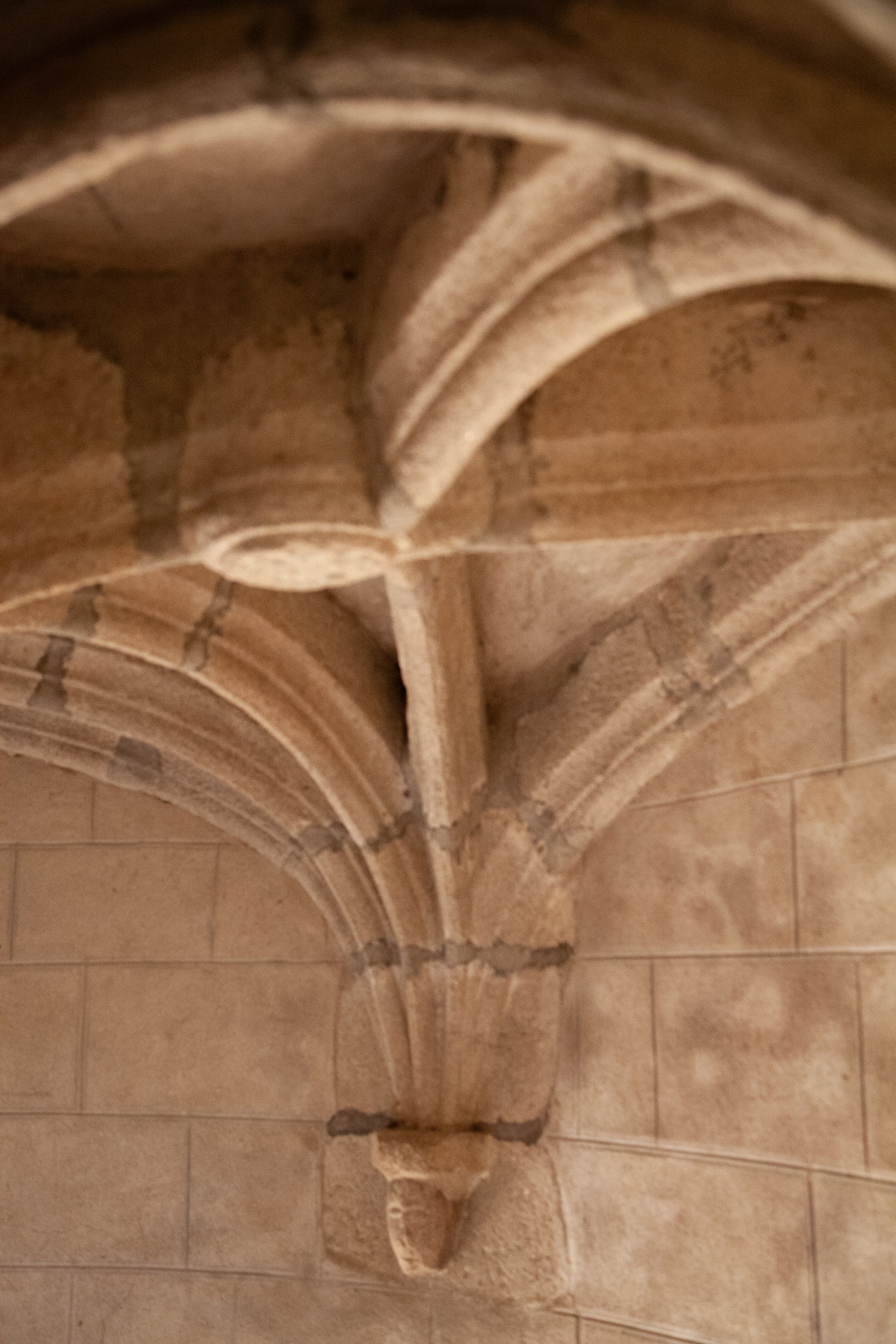 Château de Brie, Champagnac-la-Rivière - photo 9