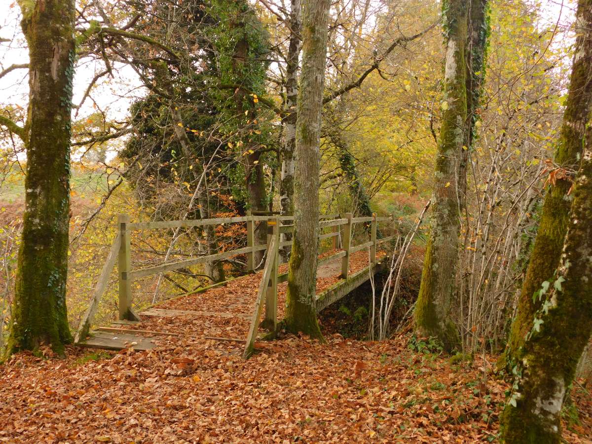 Circuit du Pont de la Roche - photo 2