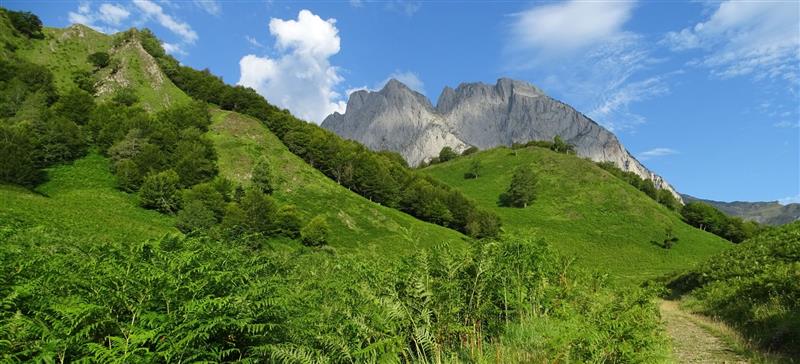 Monsieur Vincent FONTAN - Accompagnateur en montagne