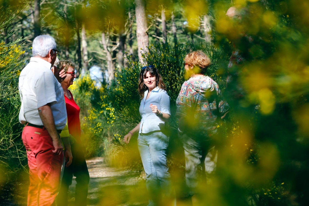 Découvrez Bisca Grands Lacs avec un Conteur des Landes