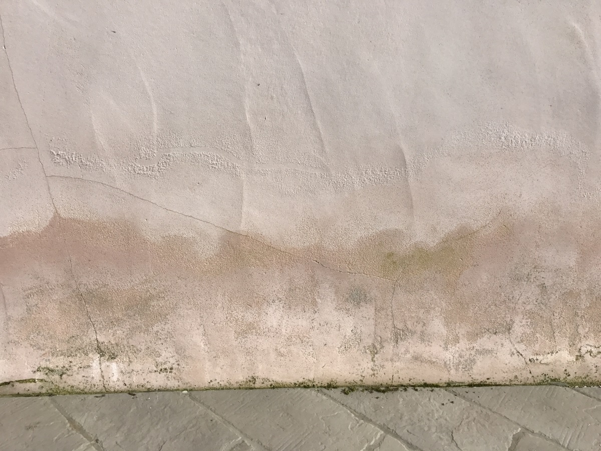 NéoProtek — photo 3