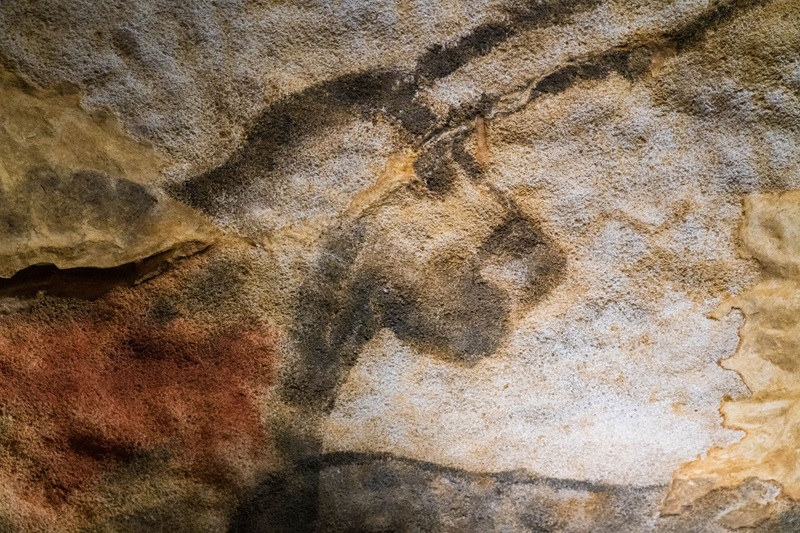 Visite "Chronique d'une découverte"