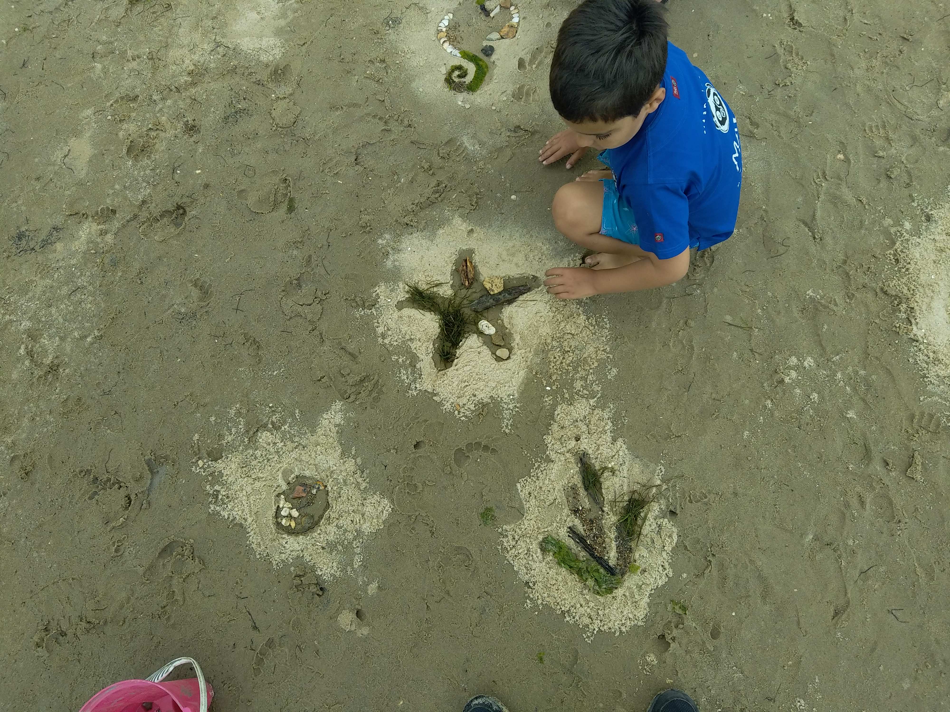 Plage, coquillages et farfouillage