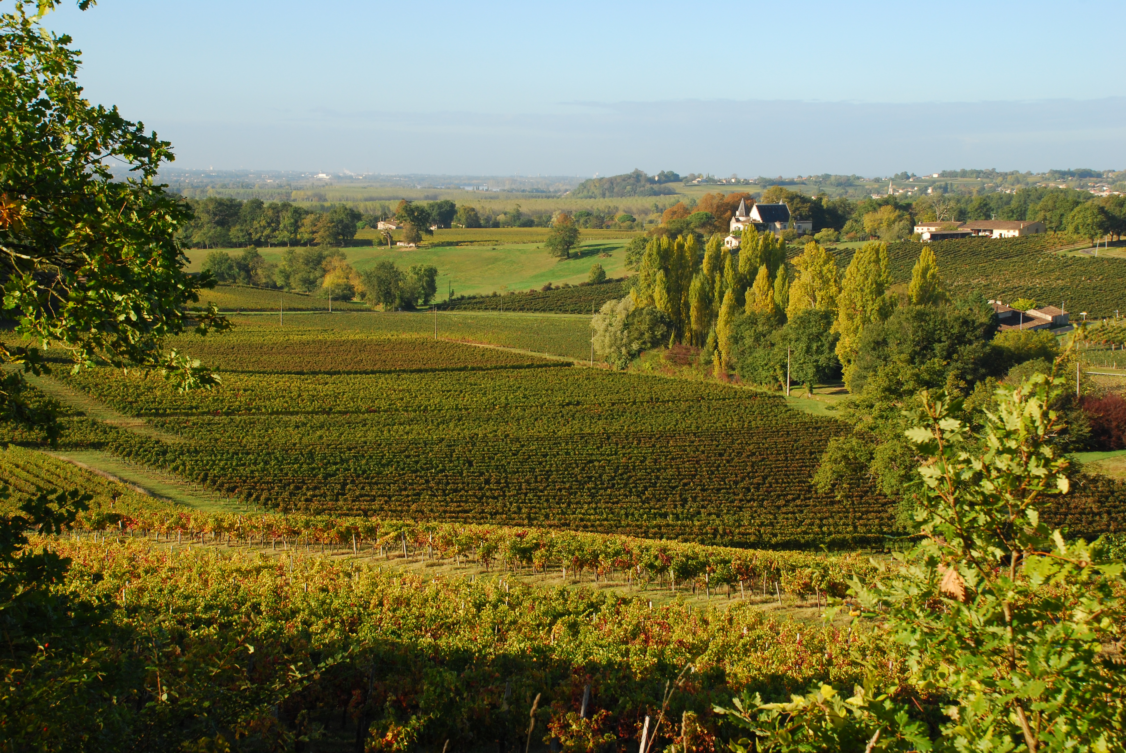 Boucle du Tertre de Fronsac, Fronsac - photo 6
