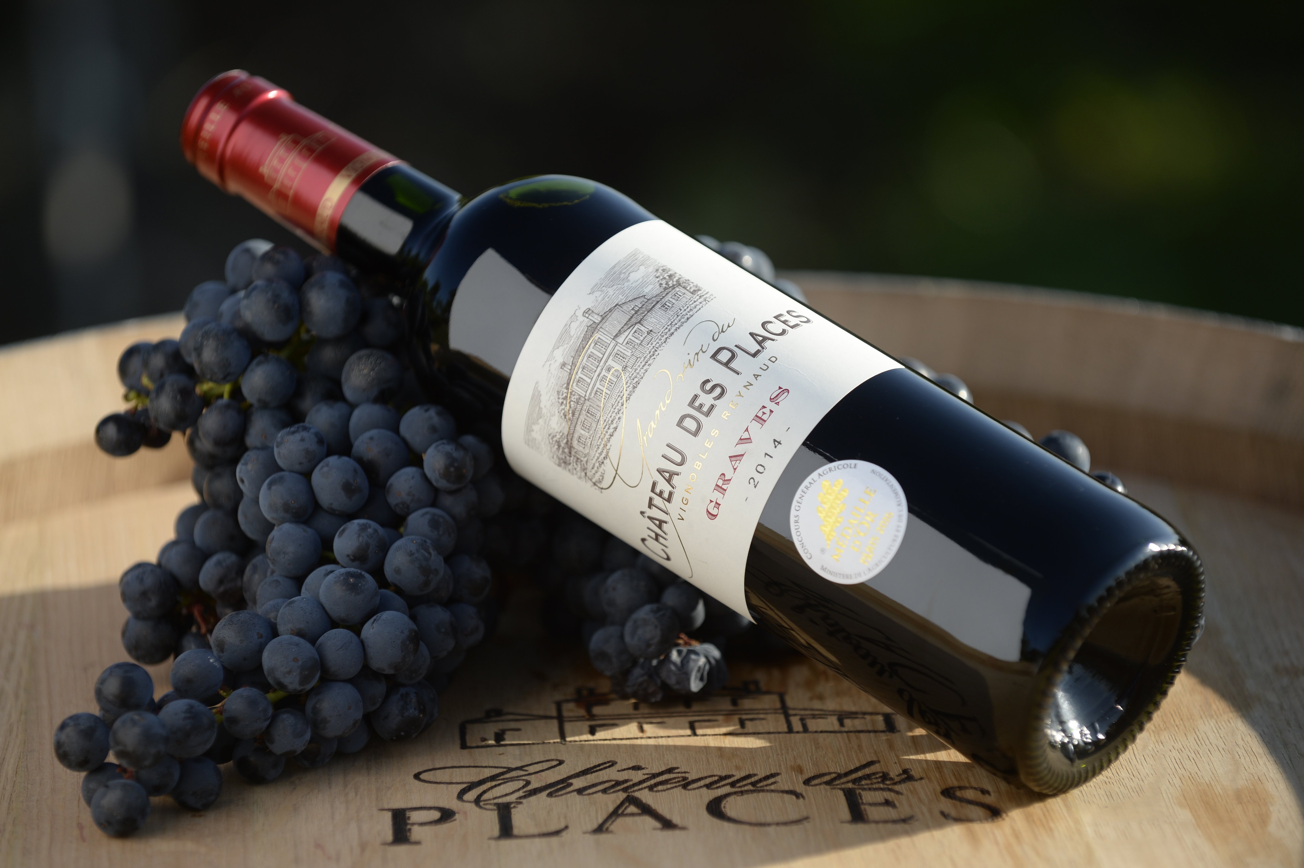 Château des Places - Château Lagrange