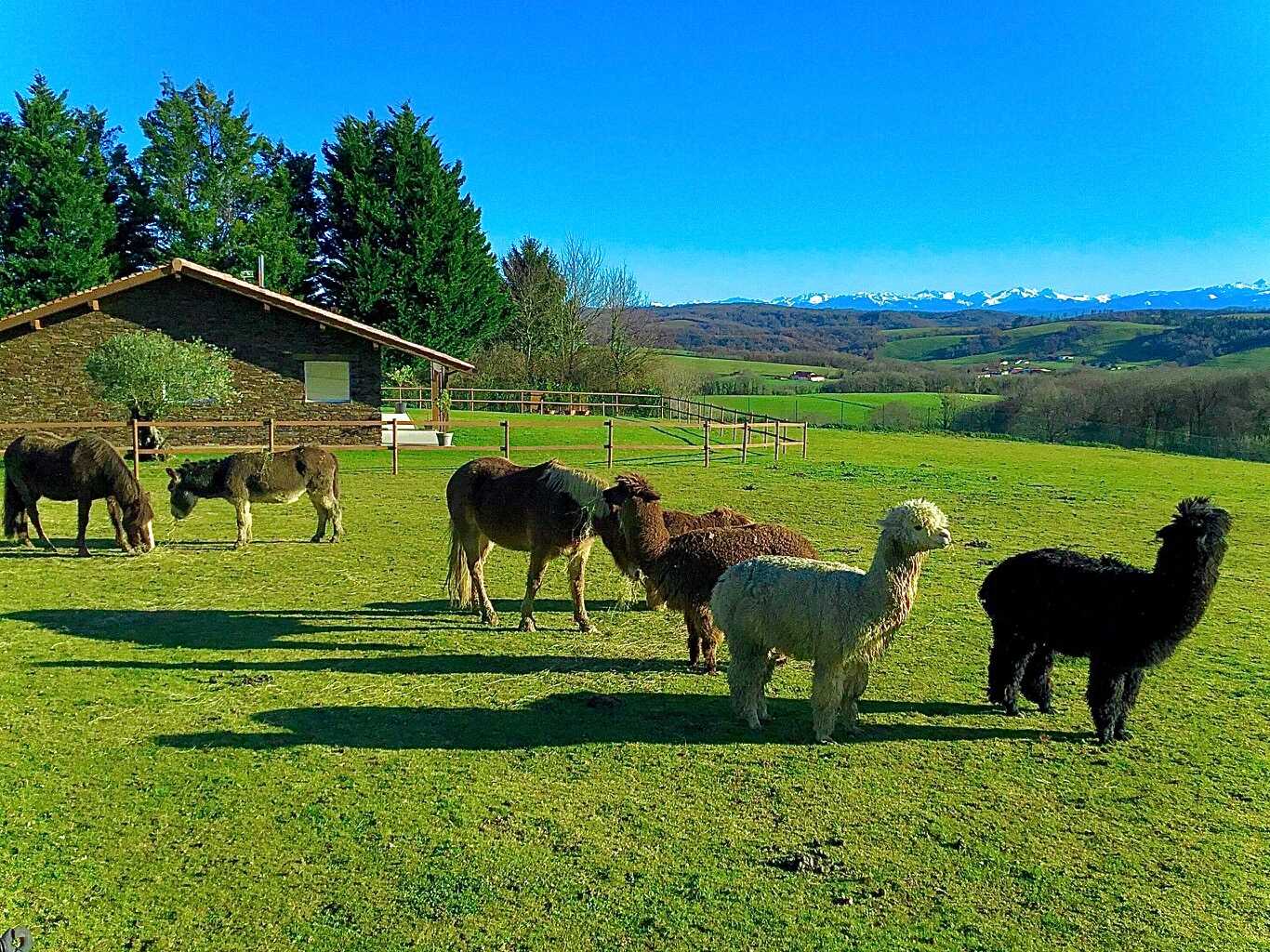 Domaine de ximista, Bardos - photo 4