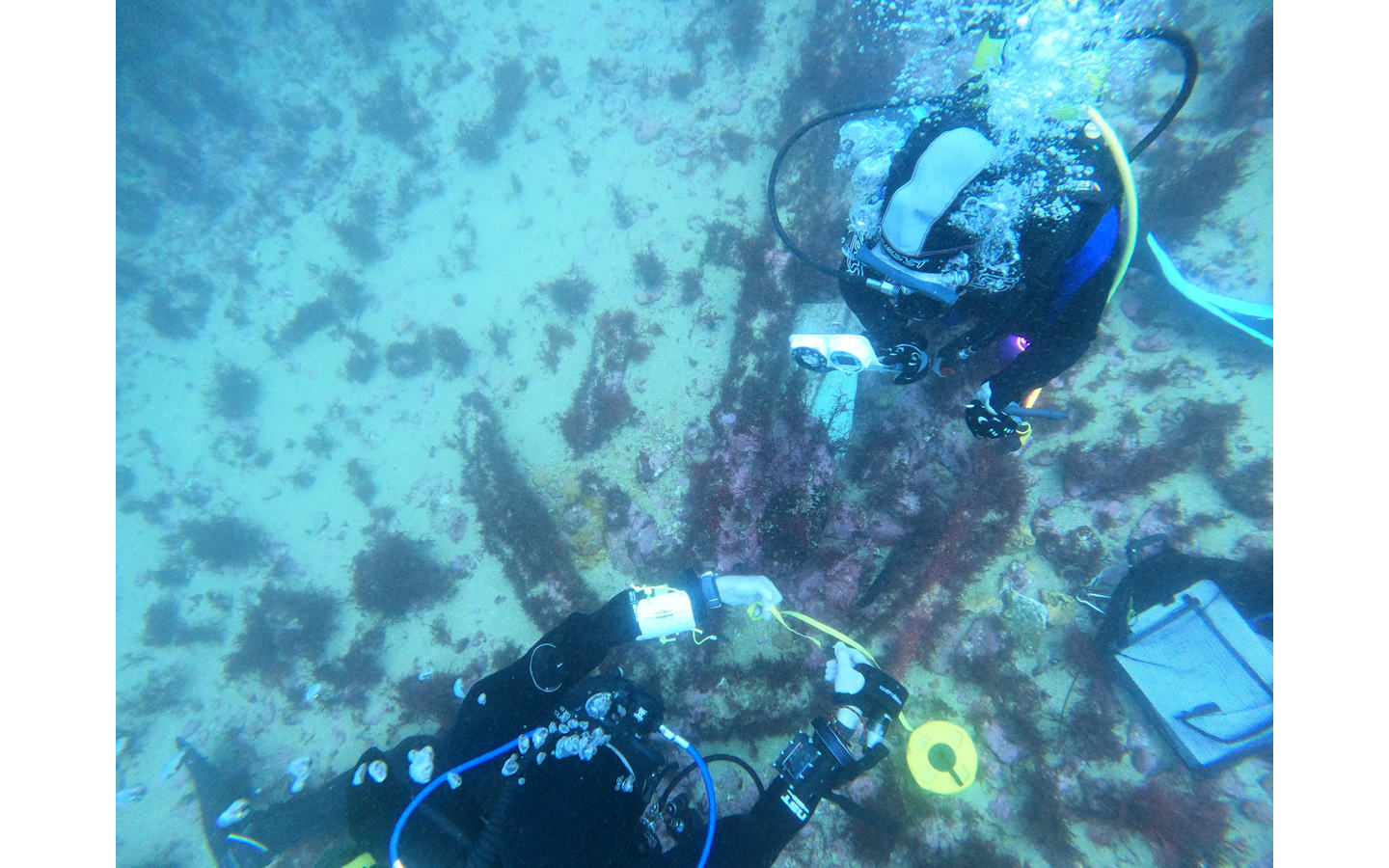 Journées européennes de l’archéologie : Devenez archéologue sous-marin… en piscine