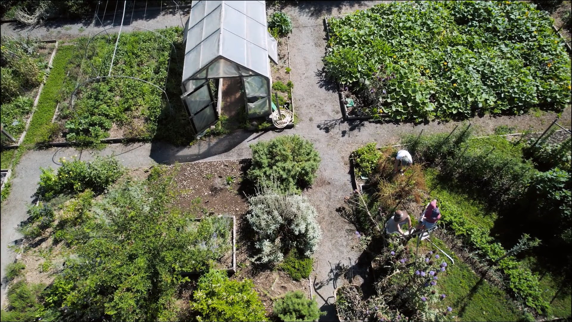 Conservatoire des Légumes Anciens du Béarn