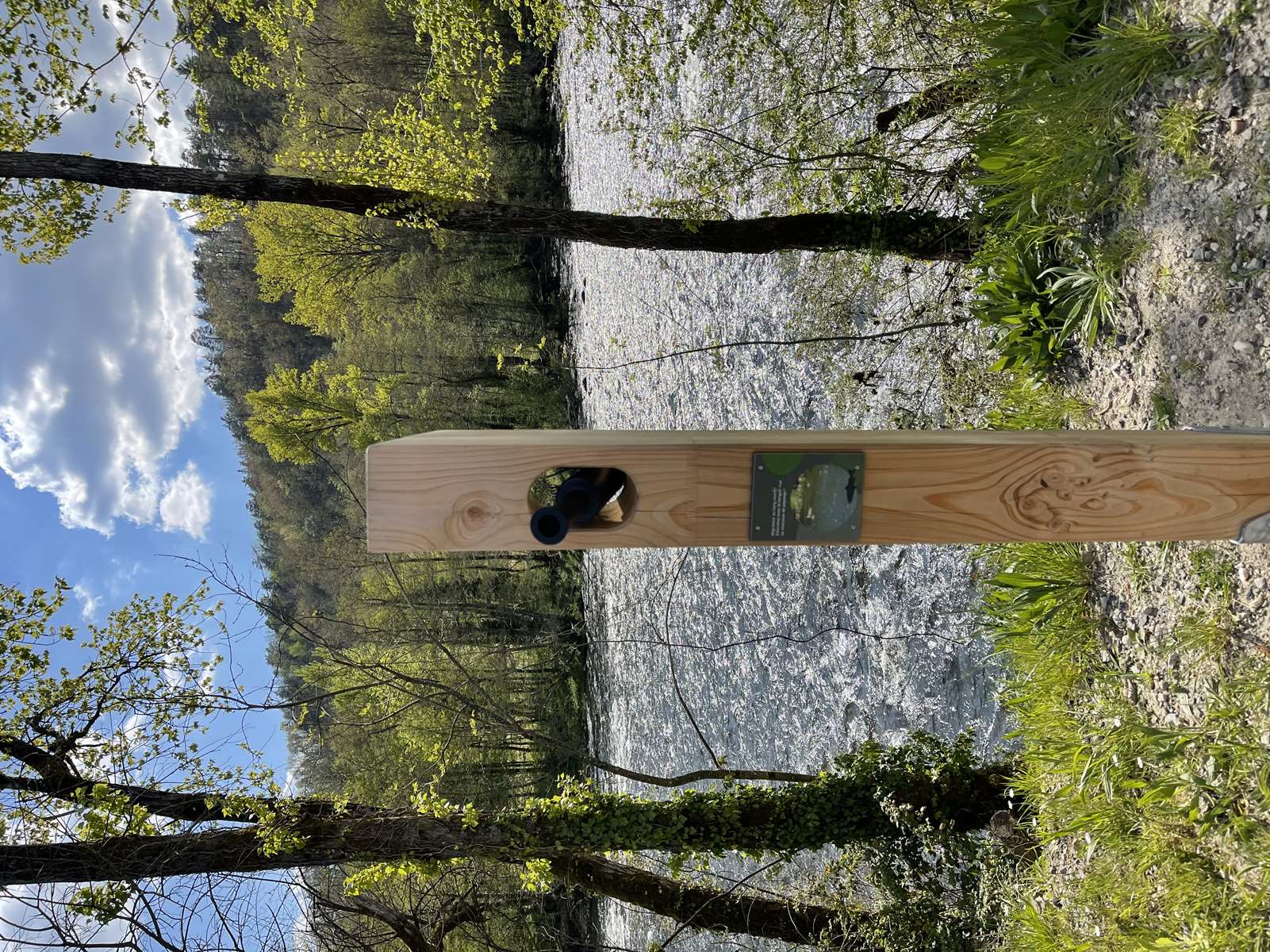 Réserve Départementale de Biodiversité "Les Gravières", Argentat-sur-Dordogne - photo 5