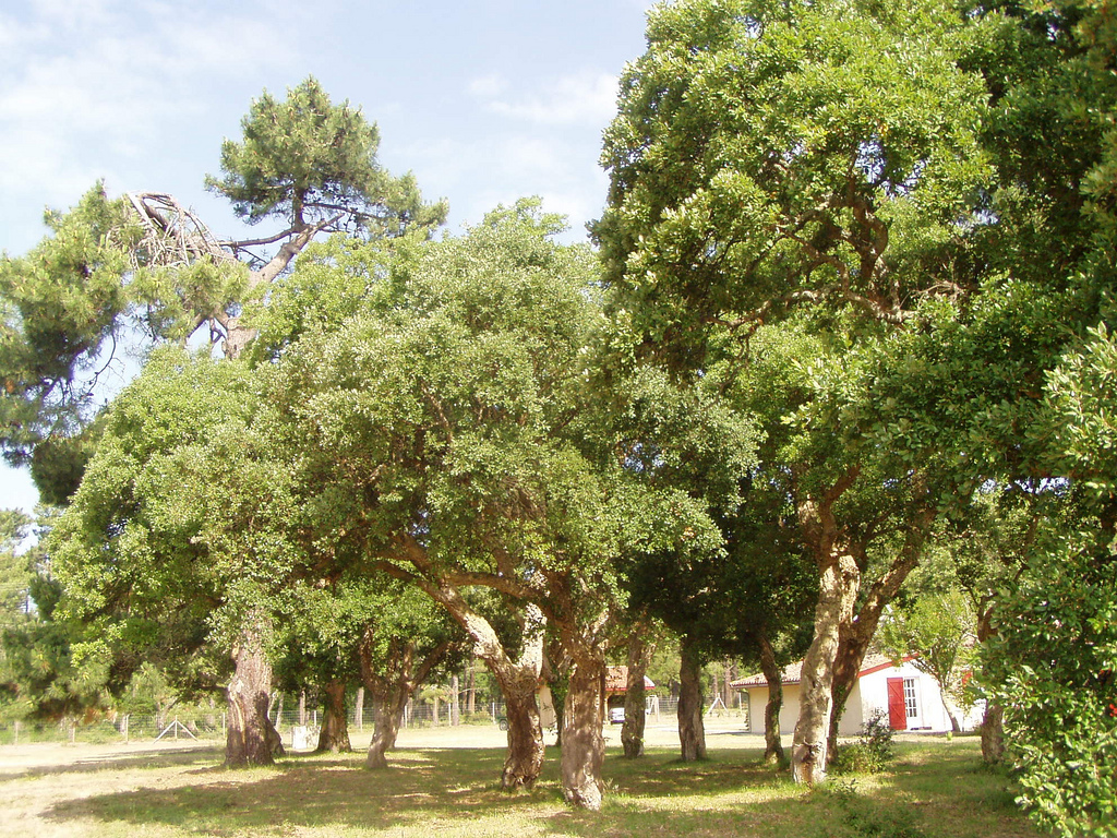 Gîte Plaisance, Naujac-sur-Mer - photo 2