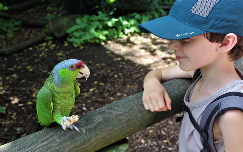 Zoo d'Asson