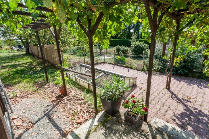 Havre de Paix Gîtes - Maple Tree