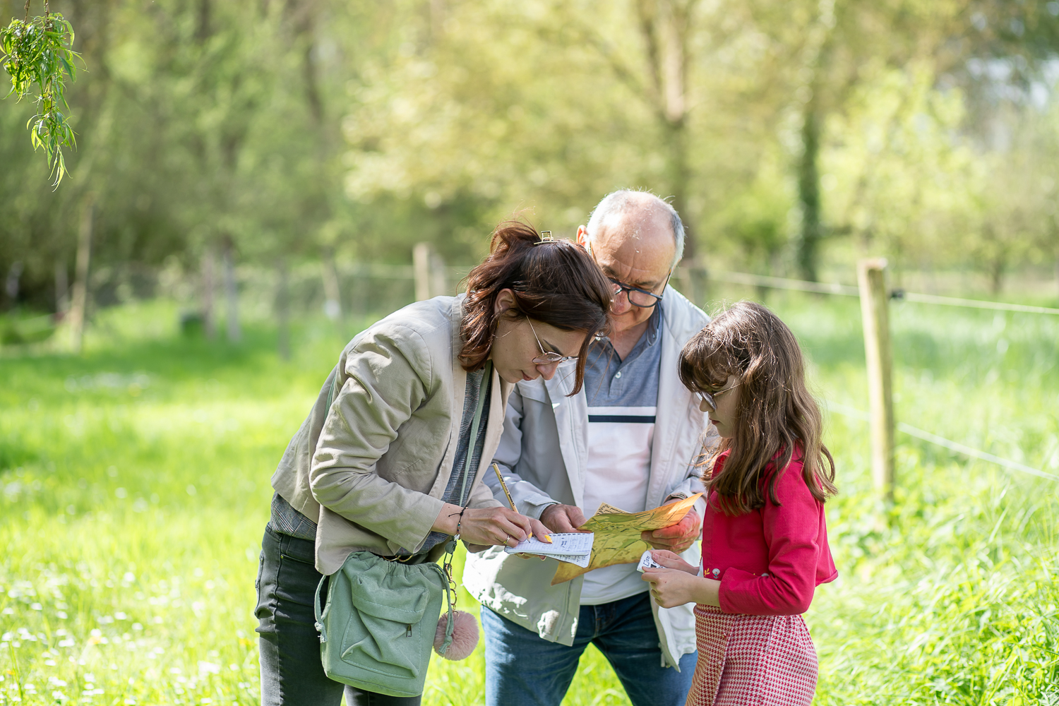Noblesse et Déclin à Cheneché