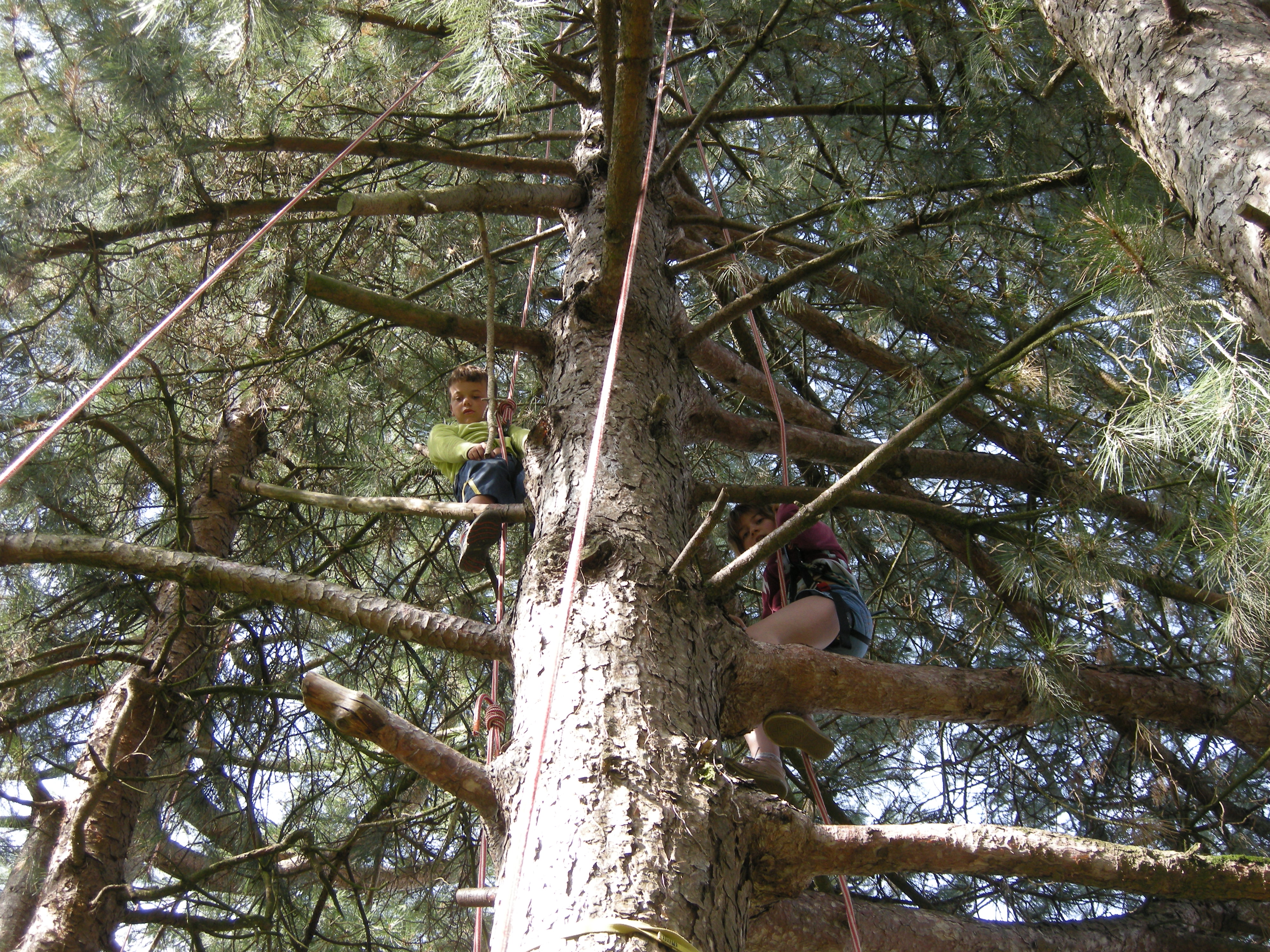 Les Grimpereaux de l’Hermitain - photo 2