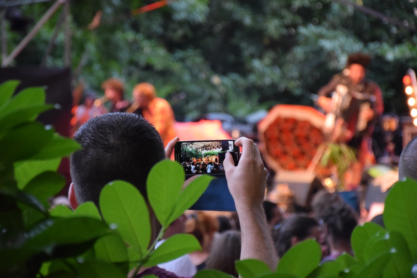 Théâtre de Verdure — photo 2