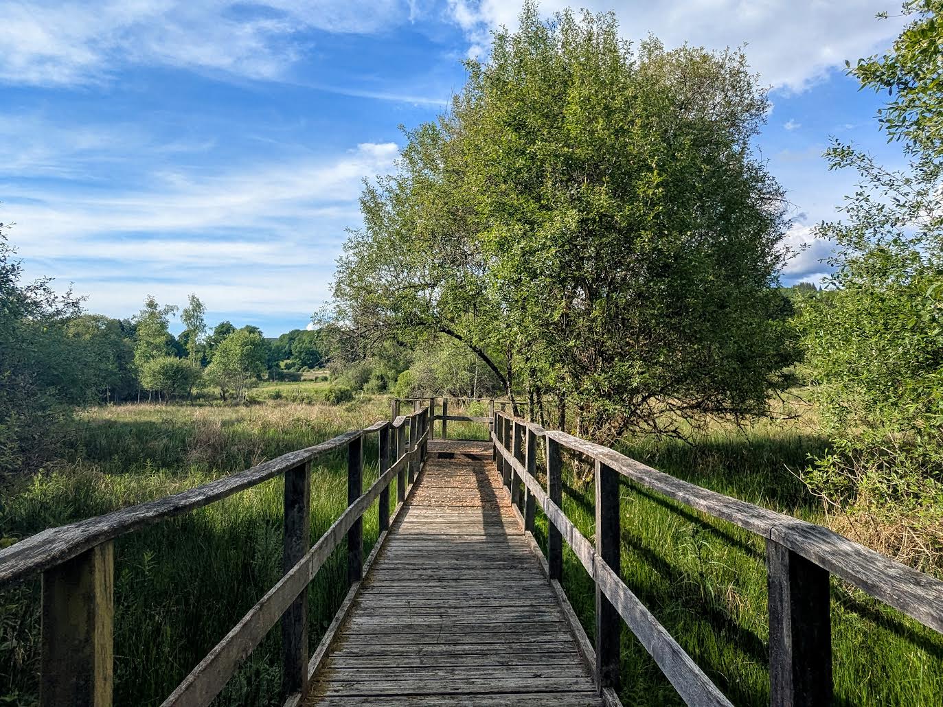 Sentier d'interprétation des Merlettes, Saint-Hilaire-les-Courbes - photo 5
