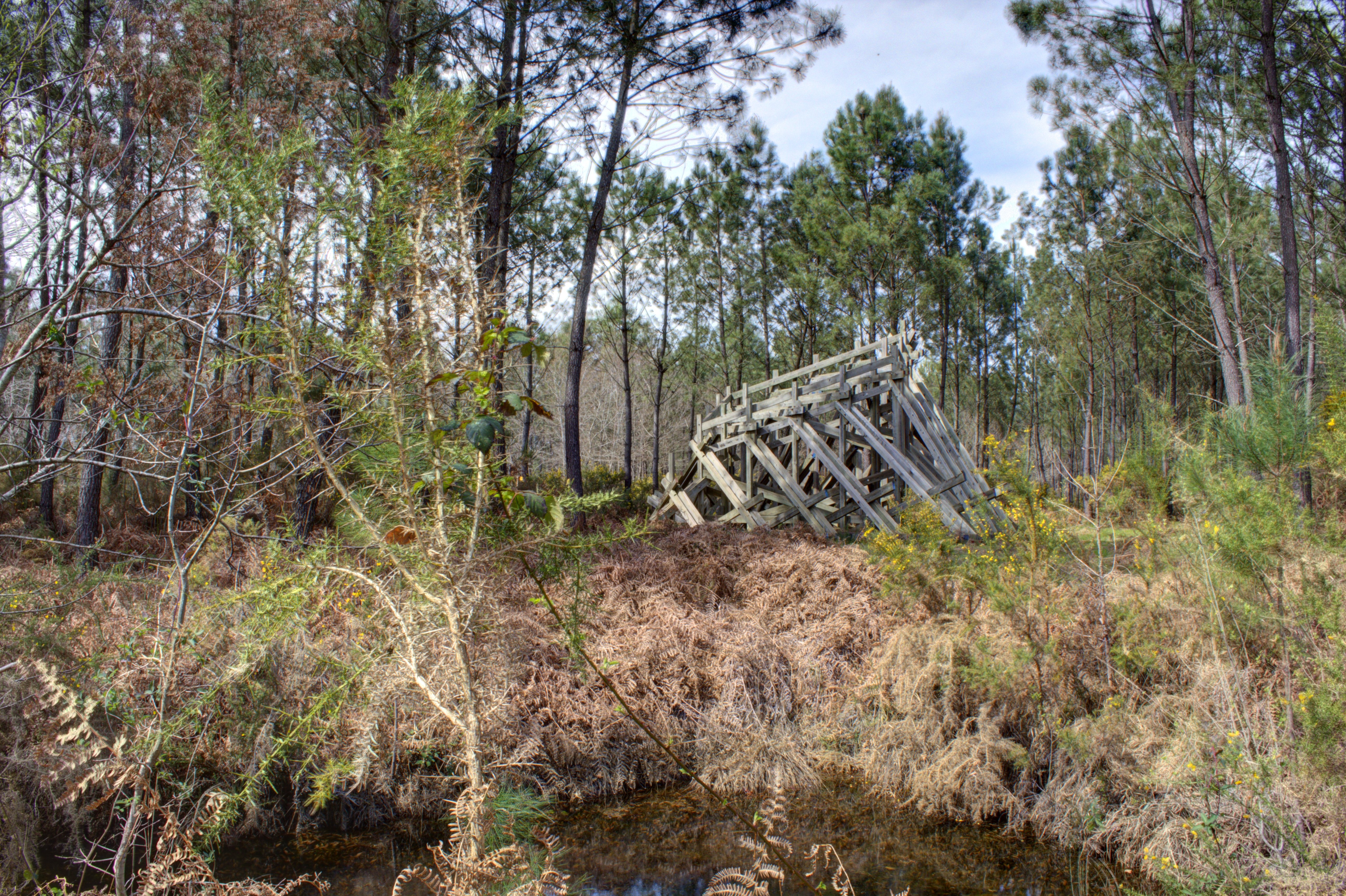La Forêt d'Art Contemporain : le Lit Transcendental, oeuvre n°00, Garein - photo 2