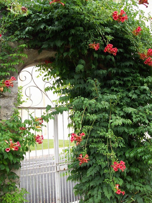 Le Puits Notre-Dame, Saint-Léon-sur-l'Isle - photo 12