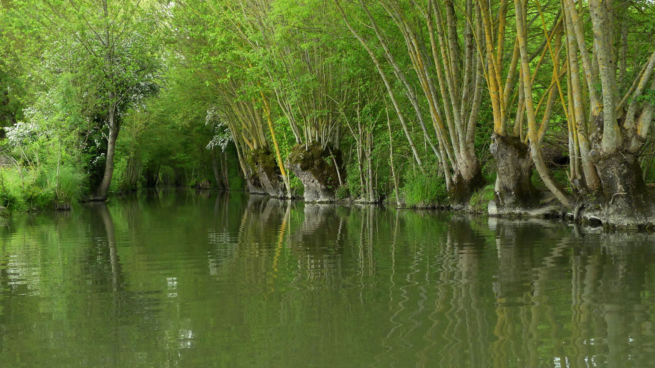 Embarcadère du Lidon - photo 3