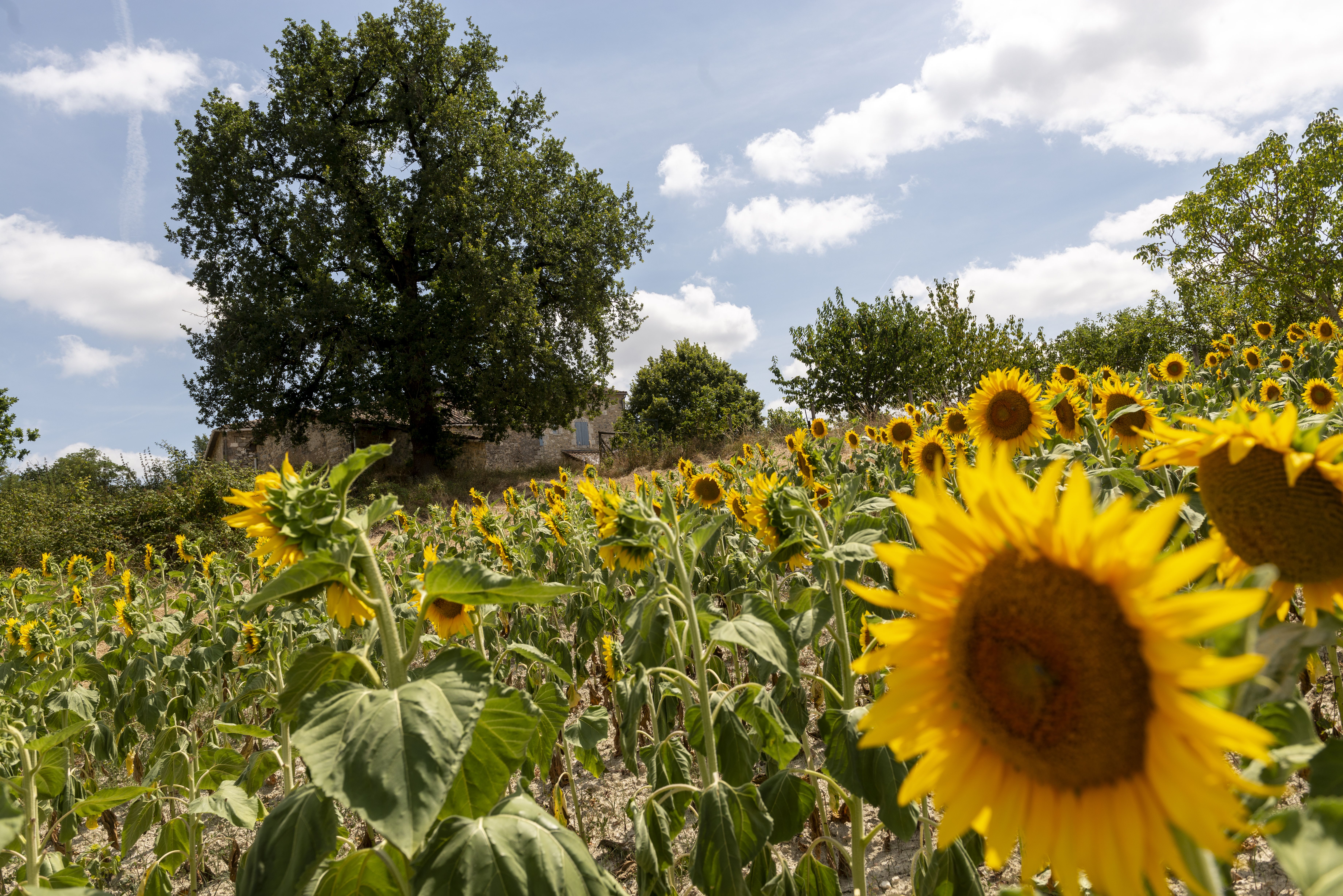 Gîte de Jeancel - photo 2