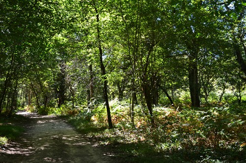 Poudenas, une ambiance de Toscane, Poudenas - photo 4