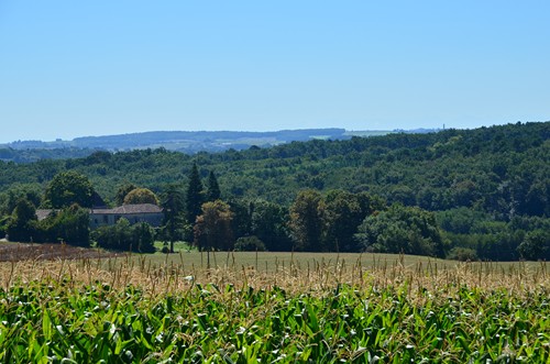 Réaup, longue randonnée dans la forêt Landaise, Réaup-Lisse - photo 8