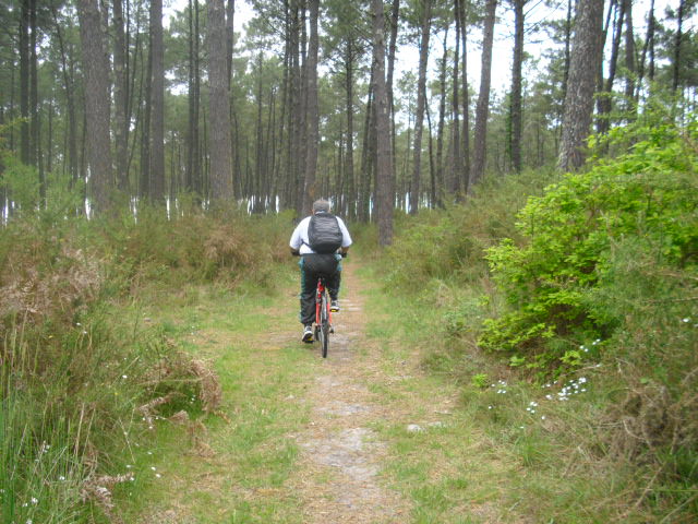 Le Petit Résinier, Mimizan