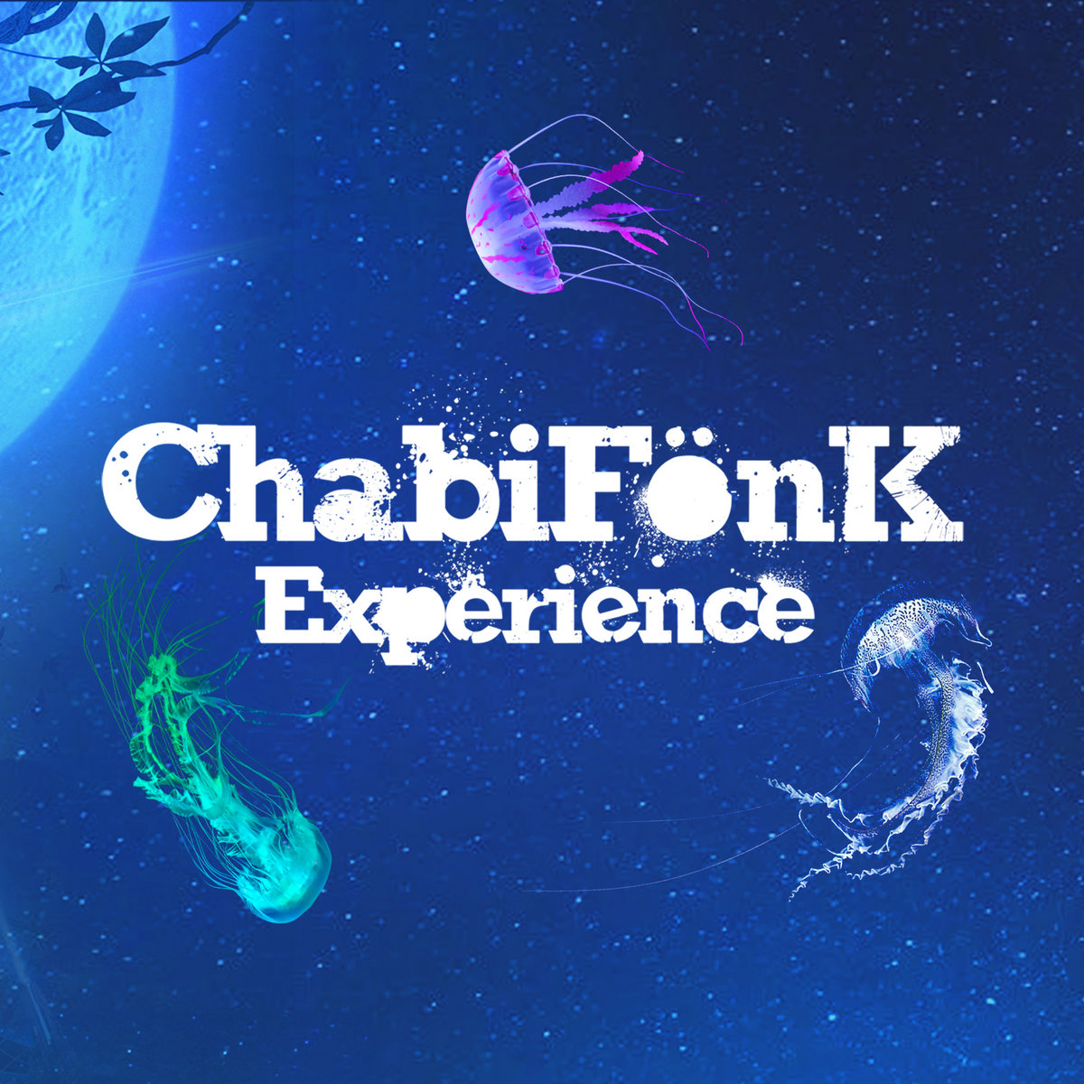 Concert avec ChabiFonk Expérience