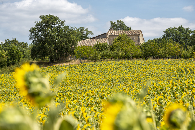 Gîte de Jeancel, Villeréal - photo 17