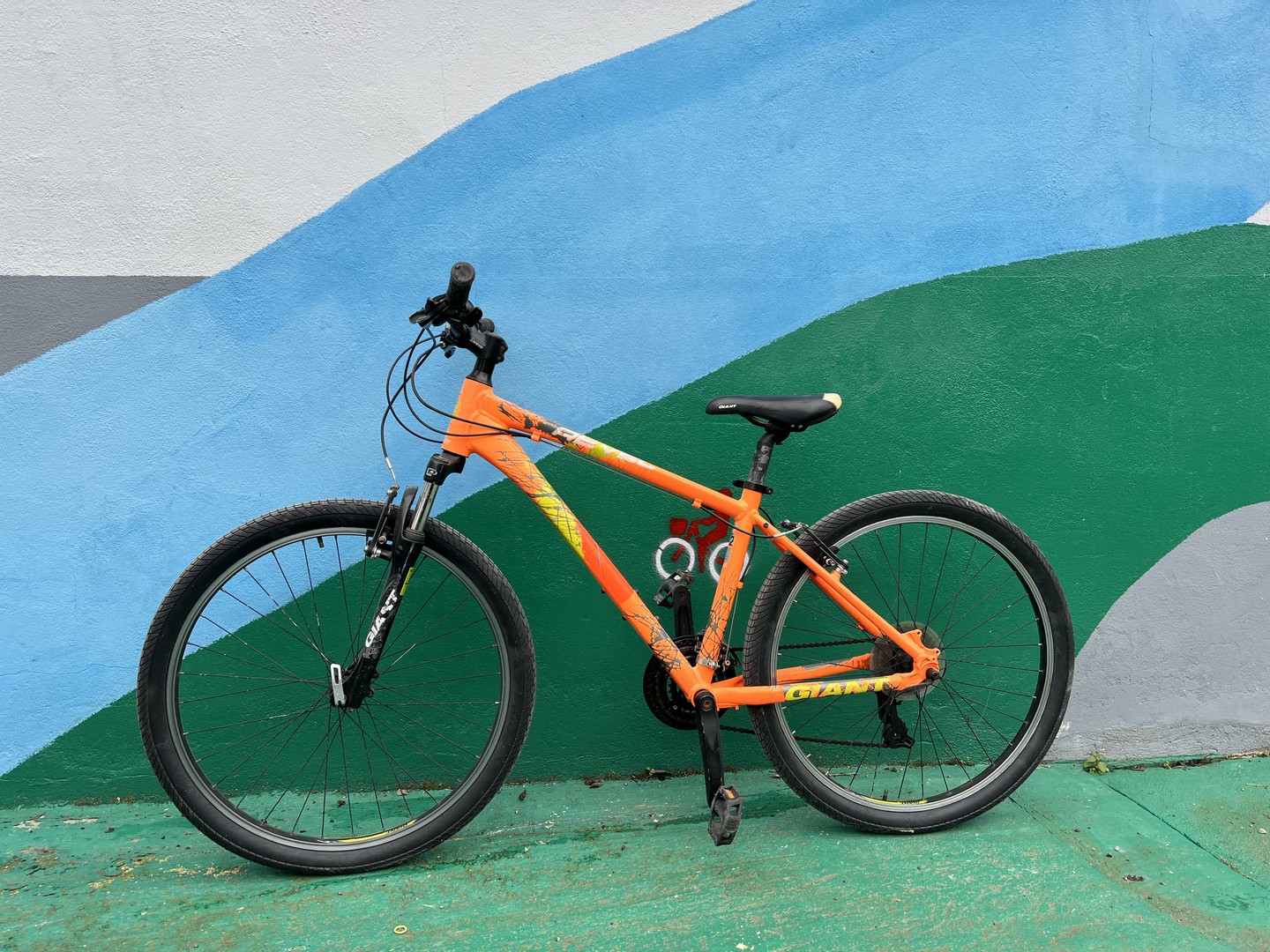 Vélo Voie Verte — photo 3