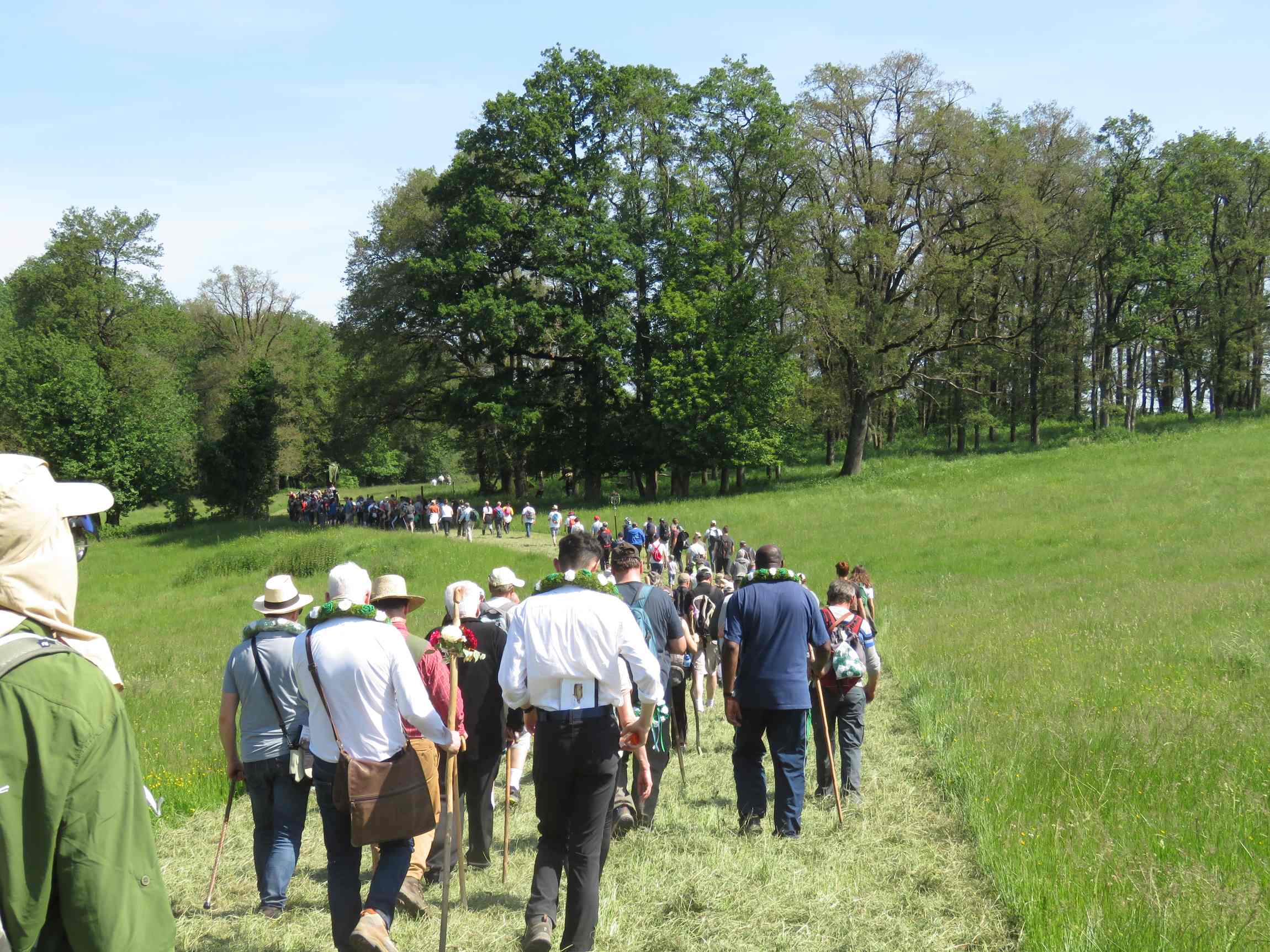 Procession de Neuf lieues, Magnac-Laval - photo 3