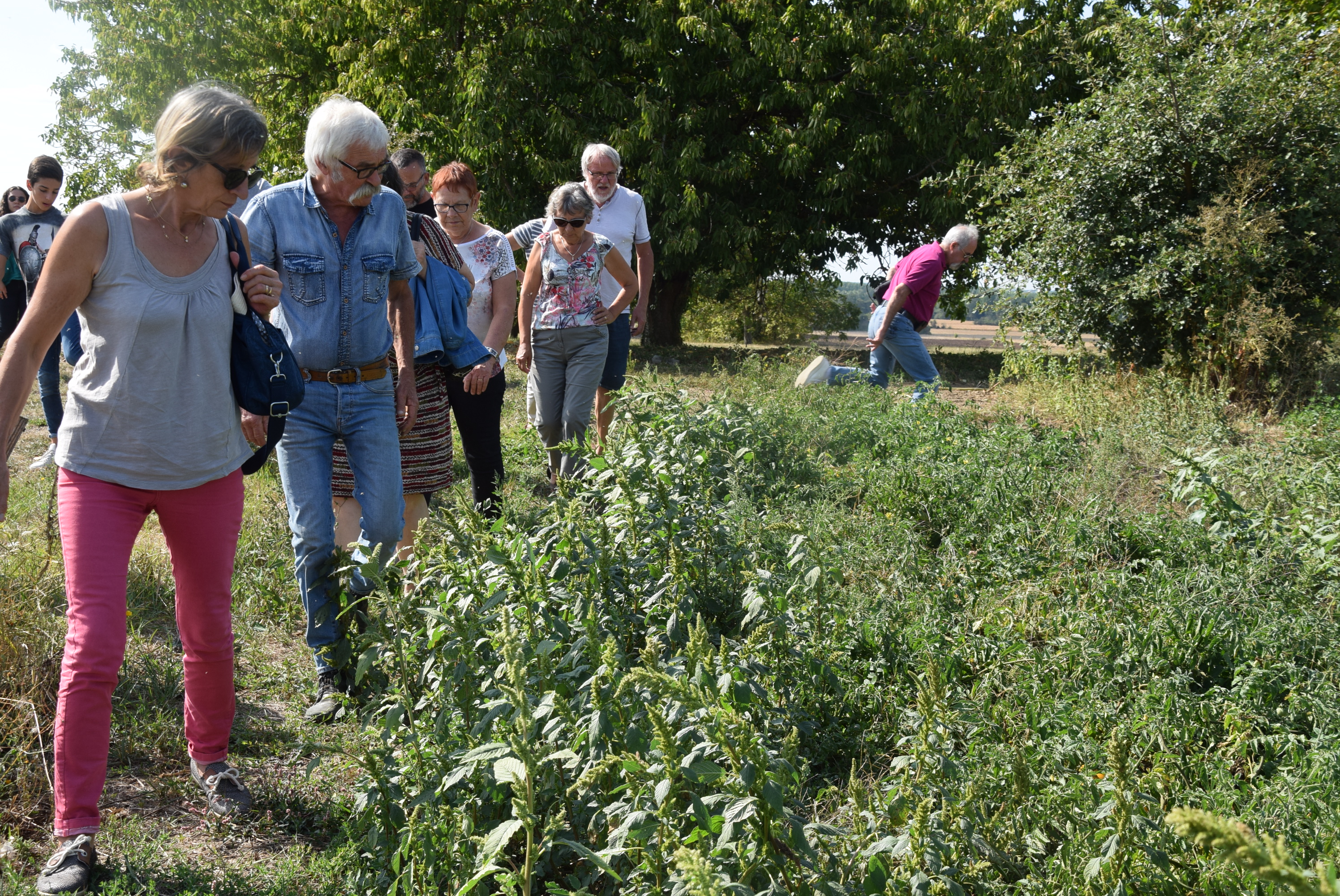 Jardin pédagogique et biologique des Trois Noyers