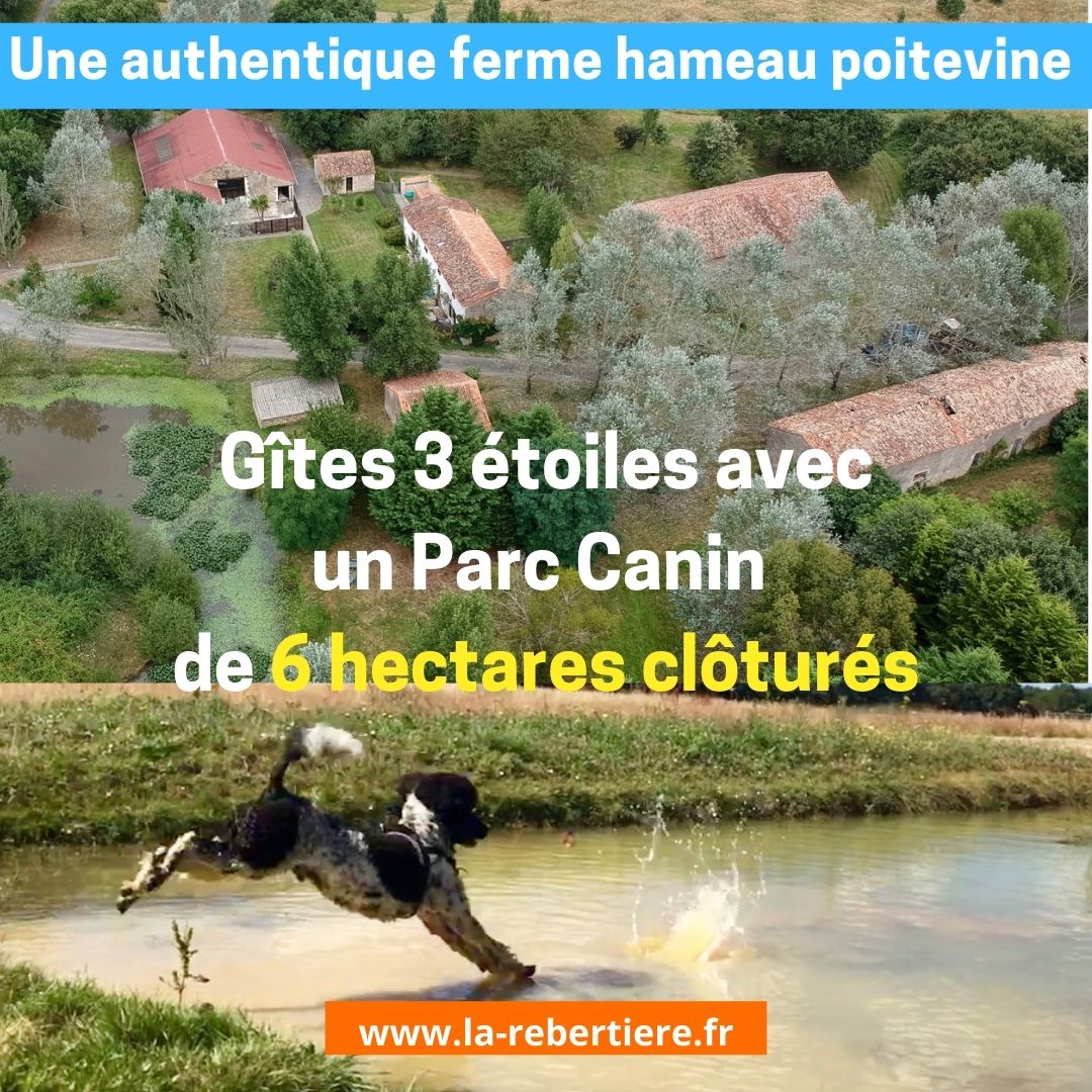 Gîte BoGuss du Parc Canin de la Rebertière - photo 5