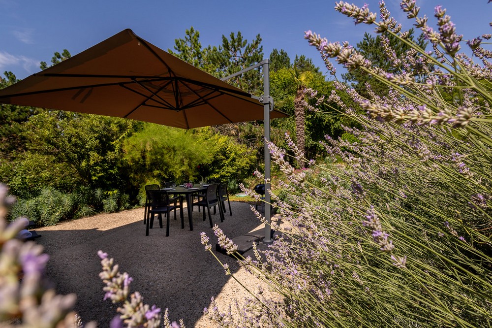 Gîte de Pehillo - La Sapinière