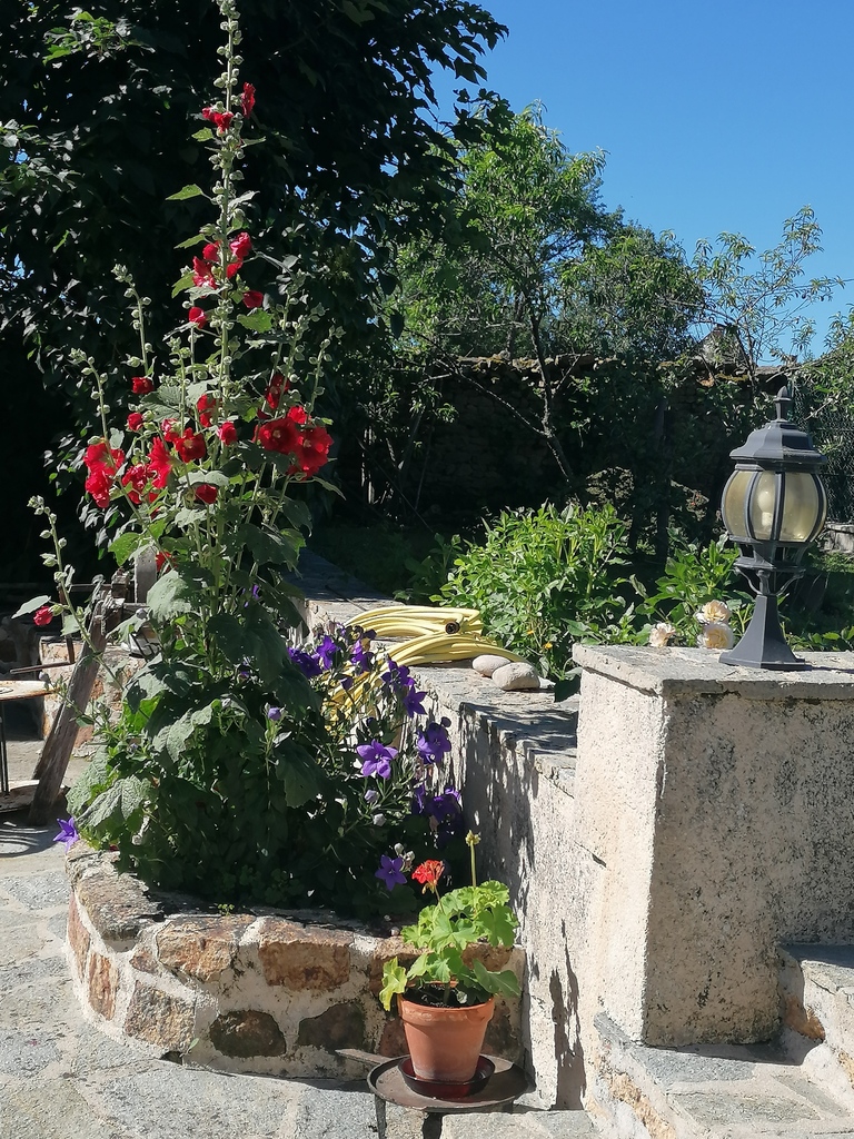 Sam Bott, Chambon-sur-Voueize - photo 9