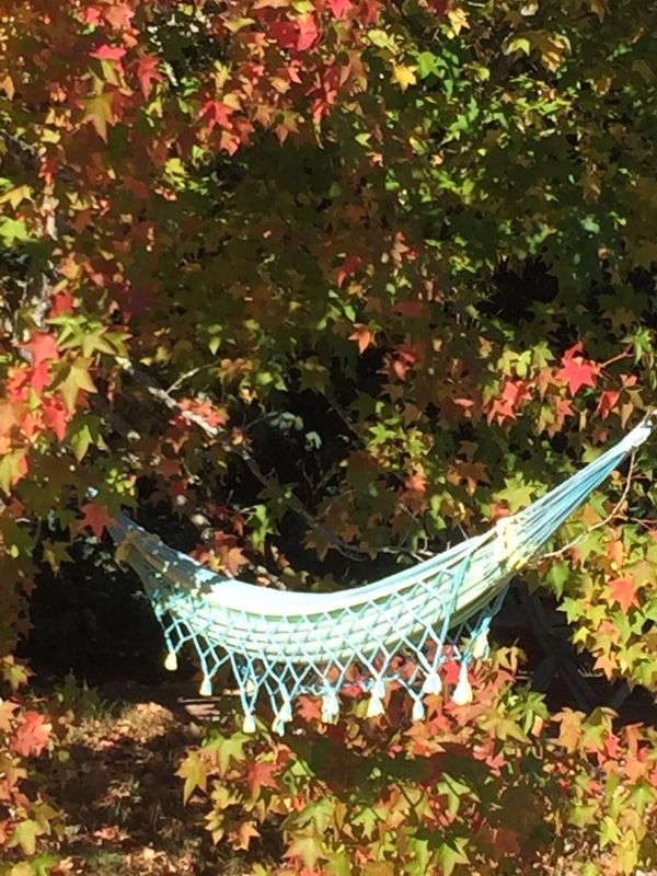 Monsieur et Madame Any et Jean-Louis MARINI, Mios - photo 23