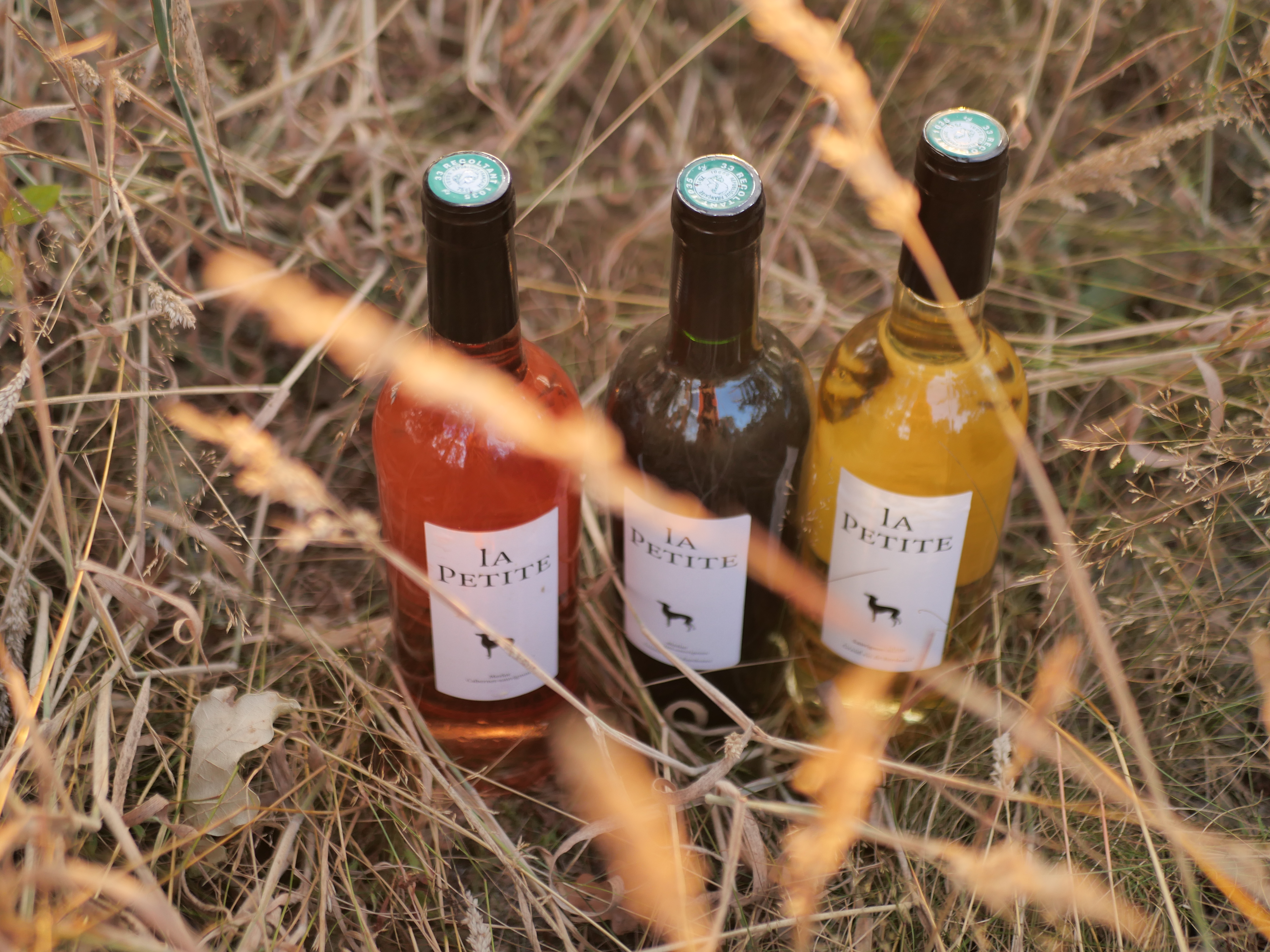 Château la Levrette - photo 3