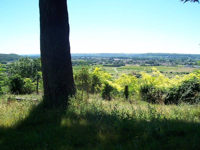 Château Laroque, Saint-Antoine-de-Breuilh