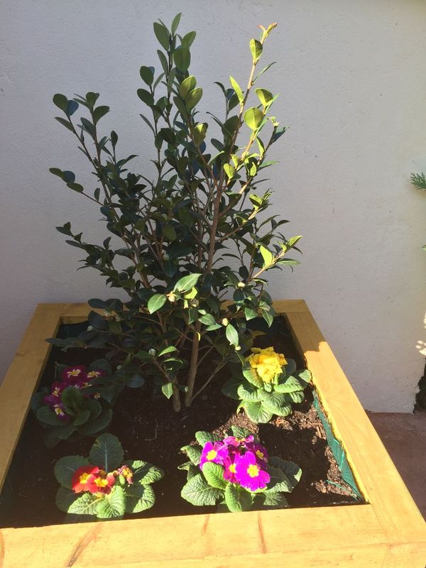 Monsieur et Madame Any et Jean-Louis MARINI, Mios - photo 9