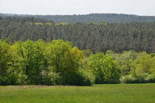 Sos, la promenade de Campet, Sos - photo 5